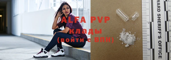 молекула духа Арсеньев