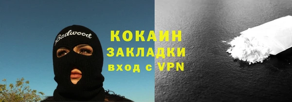 молекула духа Арсеньев