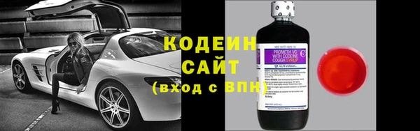 молекула духа Арсеньев