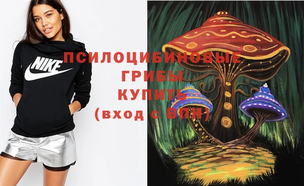 гашиш Богданович