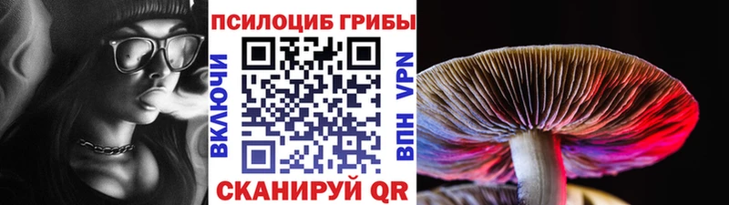 Псилоцибиновые грибы Psilocybine cubensis кракен ТОР Гвардейск купить наркотики сайты
